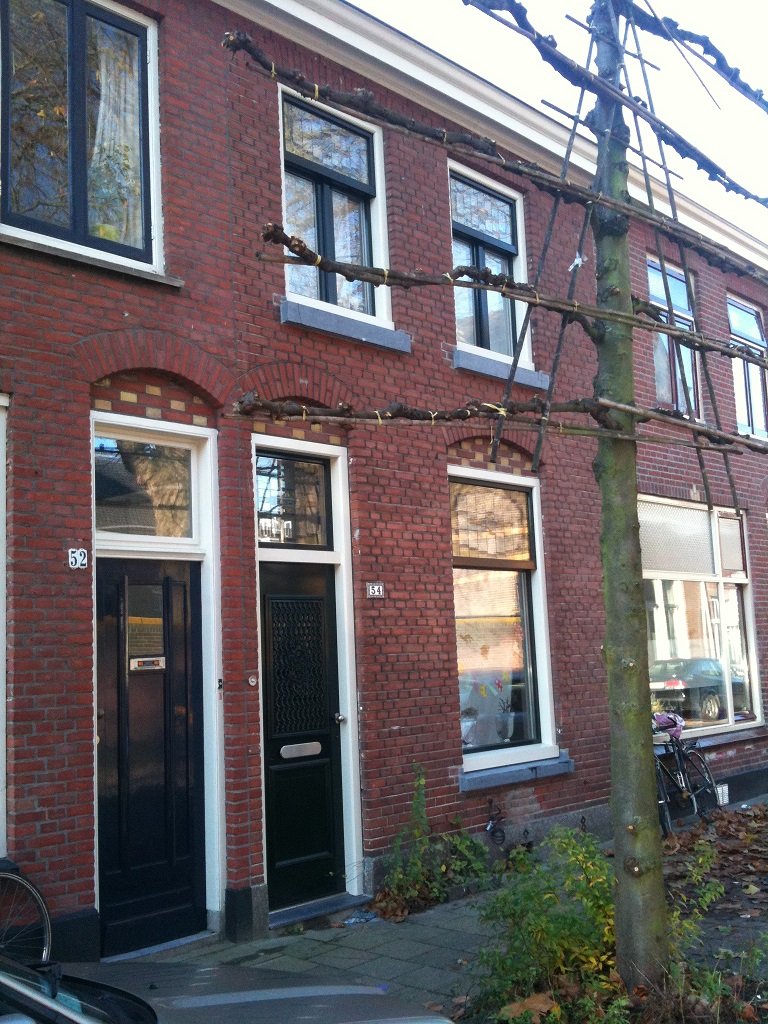 Knipping Classic kozijnen en voordeur geplaatst met glas in lood te Utrecht 